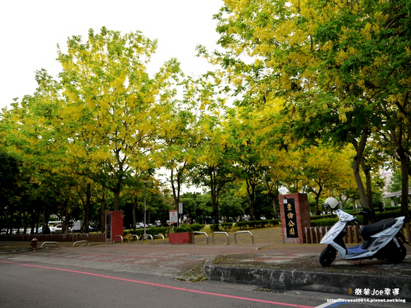 台中市崇倫公園：[台中南區]崇倫公園阿勃勒也是美得不像話。