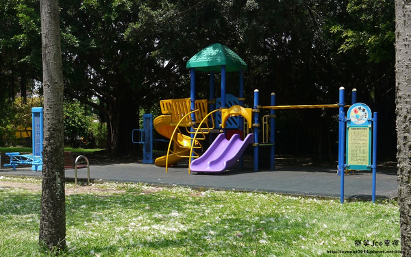 台中市崇倫公園：[台中南區]崇倫公園阿勃勒也是美得不像話。