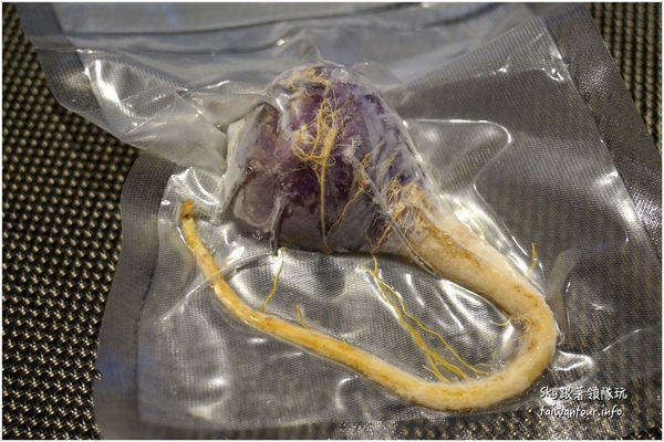 仙人居:好吃無菜單蔬食料理【仙人居】