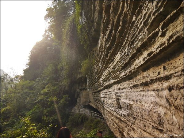 嘉義青年嶺步道、燕子崖、千年蝙蝠洞P1530150_調整大小1.JPG
