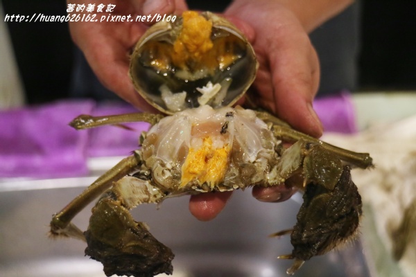 煽烏賊燒烤居酒屋:【新北板橋區】再訪驚豔味蕾的感動滋味『煽烏賊燒烤居酒屋』板橋居酒屋推薦/日式串燒/深夜食堂