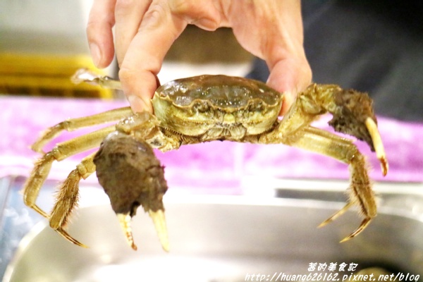 煽烏賊燒烤居酒屋:【新北板橋區】再訪驚豔味蕾的感動滋味『煽烏賊燒烤居酒屋』板橋居酒屋推薦/日式串燒/深夜食堂