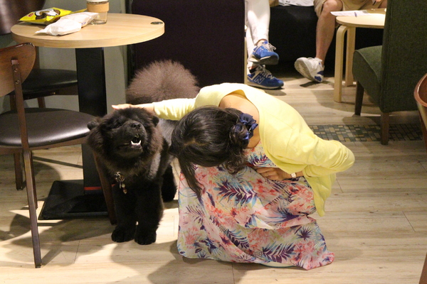 咖啡宴:台北東區不限時咖啡廳『咖啡宴-大安店』手沖咖啡/近微風廣場/寵物友善