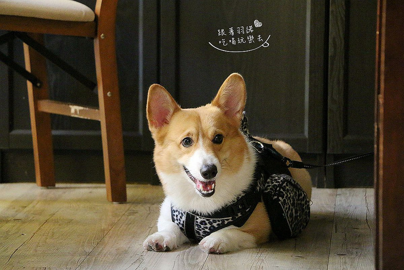 咖啡宴-大安店寵物友善餐廳捷運忠孝復興站手沖咖啡微風廣場080