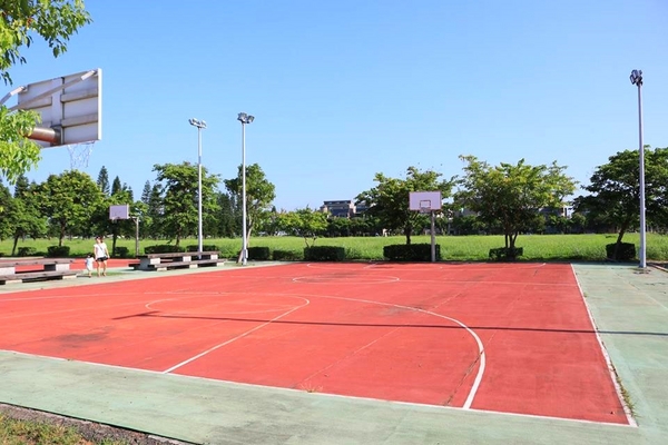 南故宮235新樂園:【嘉義景點】235新樂園~哇~可愛動物找童心,黑琵滑梯&諸羅蛙堡及藍腹鷴之家遊樂設施,三種保育類生物一次樂遊玩個夠