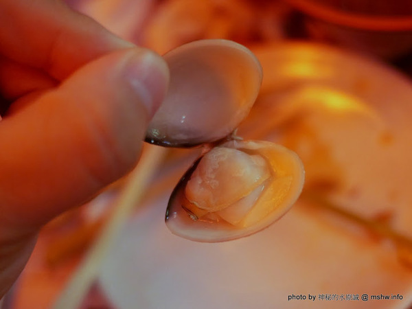 三代目安兵衛 台湾一號店：【食記】台中三代目屋台餃子安兵衛-台灣一號店@西區中美橫丁Hirome ひろめ横丁&廣三SOGO-捷運BRT科博館 : 弘人市場在台灣!輕鬆享受高知飲食文化