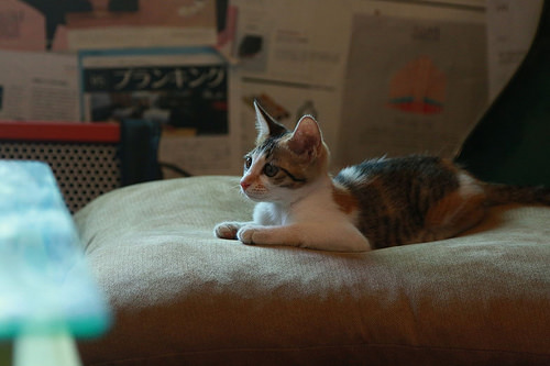 13502854_1223836814296301_2287604988191790890_o