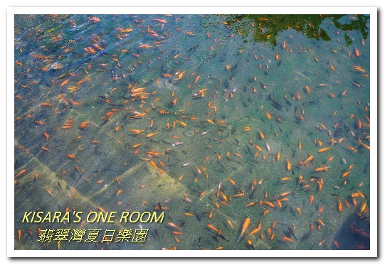 太平洋翡翠灣夏日樂園:親子情侶皆宜.台北近郊北海岸一小時可達的海濱水上樂園──2016翡翠灣夏日樂園