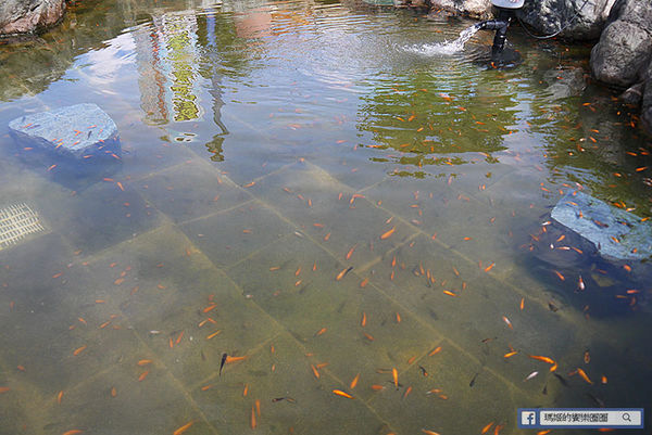 太平洋翡翠灣夏日樂園：◆新北萬里【太平洋翡翠灣夏日樂園】海洋、沙灘、比基尼～到翡翠灣一起FUN暑假。北海岸風景區。水上樂園。渡假盛地。大型滑水道。水上摩托車。香焦船。衝浪戲水