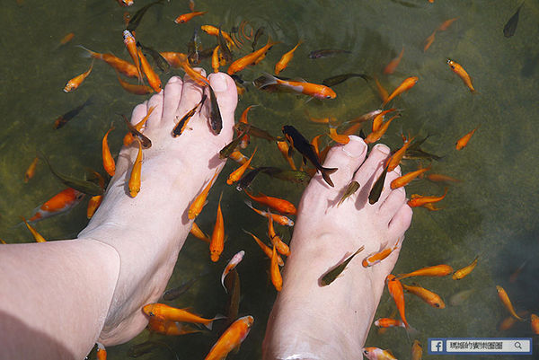 太平洋翡翠灣夏日樂園：◆新北萬里【太平洋翡翠灣夏日樂園】海洋、沙灘、比基尼～到翡翠灣一起FUN暑假。北海岸風景區。水上樂園。渡假盛地。大型滑水道。水上摩托車。香焦船。衝浪戲水
