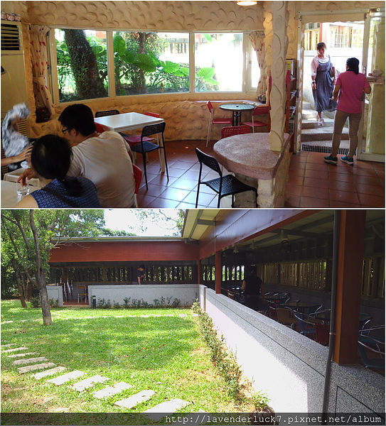 三芝小豬:♥三芝小豬