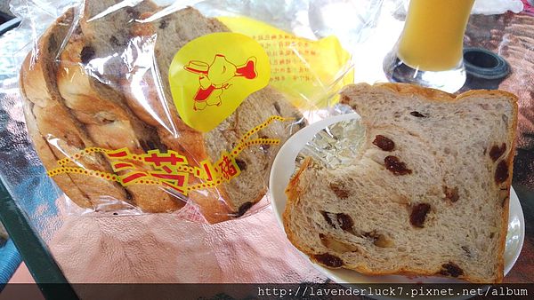 三芝小豬:♥三芝小豬