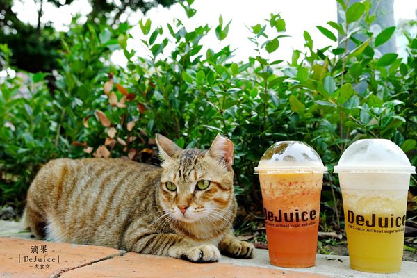 中山站美食-滴果DeJuice