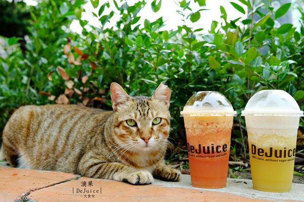 中山站美食-滴果DeJuice