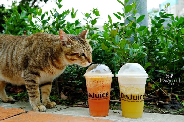 中山站美食-滴果DeJuice