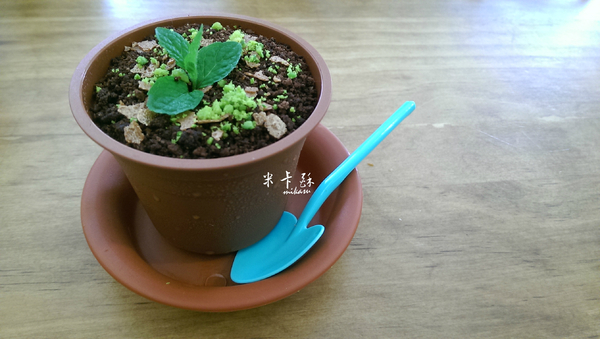 洛可可烘焙坊：【台中/食﹡北區】少女心燃燒的冬天．相機停不來的甜點篇．洛可可烘焙坊