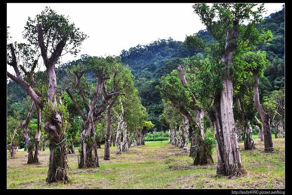 20151205北市山水綠生態公園7