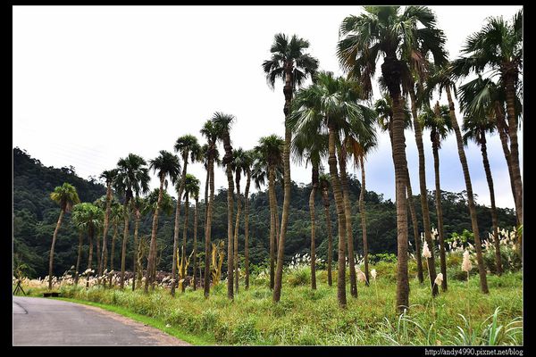 20151205北市山水綠生態公園12
