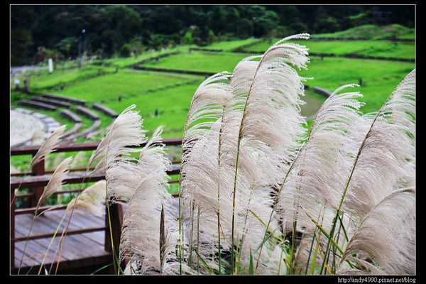 20151205北市山水綠生態公園4