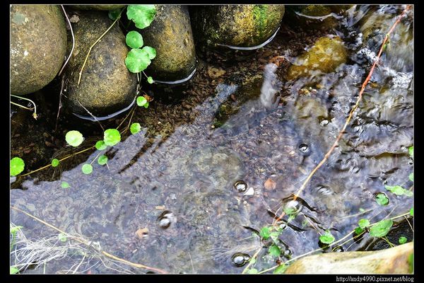 20151205北市山水綠生態公園11