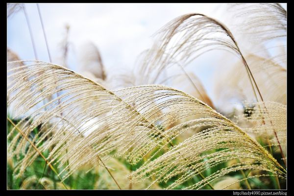 20151205北市山水綠生態公園9