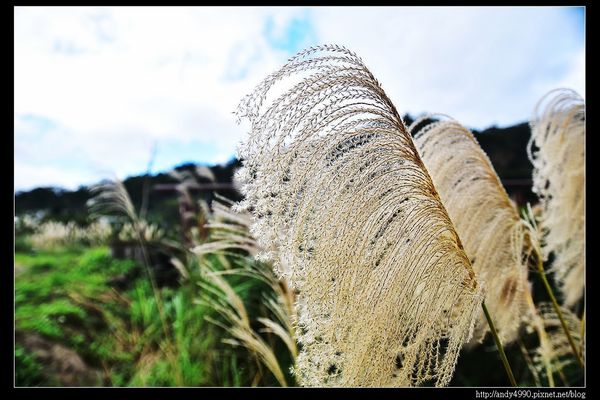 20151205北市山水綠生態公園5