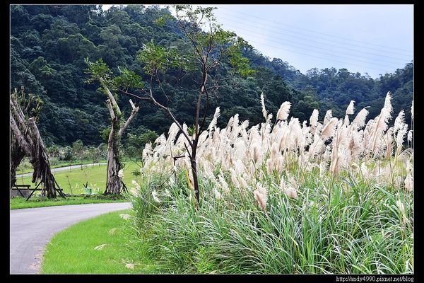 20151205北市山水綠生態公園8