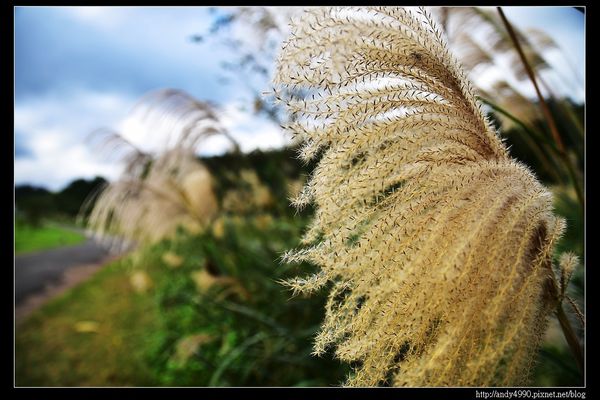 20151205北市山水綠生態公園10