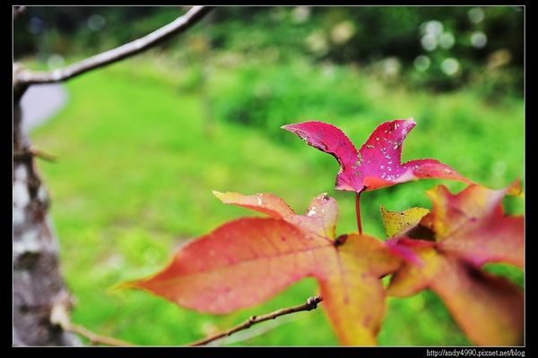 20151205北市山水綠生態公園16