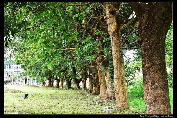 20151205北市山水綠生態公園18