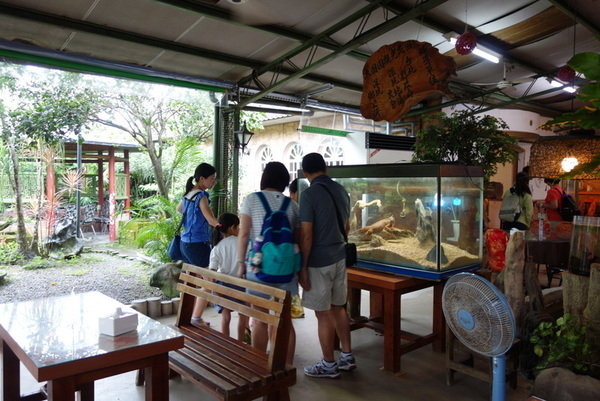 深坑大團圓景觀花園餐廳 (7).JPG