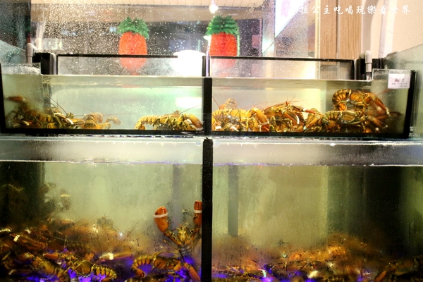 百家樂鐵板燒：7公斤波士頓龍蝦坐鎮/中山區新開幕『百家樂鐵板燒』捷運中山國小站