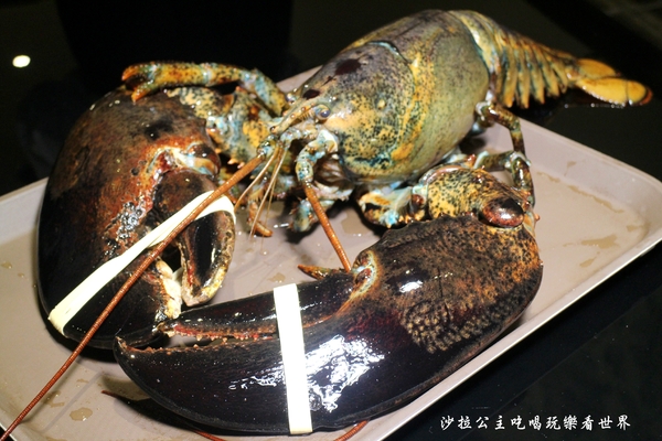 百家樂鐵板燒：7公斤波士頓龍蝦坐鎮/中山區新開幕『百家樂鐵板燒』捷運中山國小站