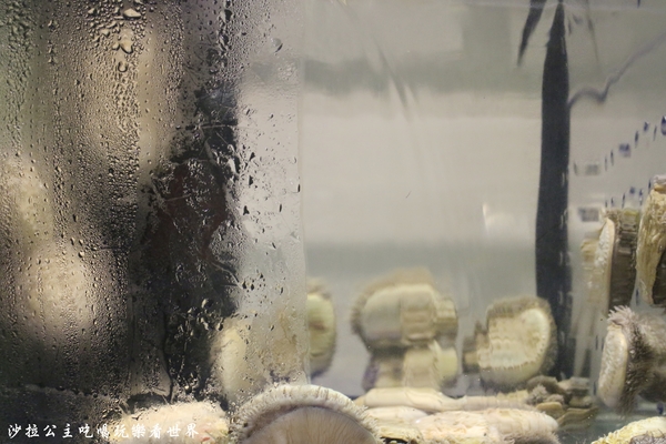 百家樂鐵板燒：7公斤波士頓龍蝦坐鎮/中山區新開幕『百家樂鐵板燒』捷運中山國小站