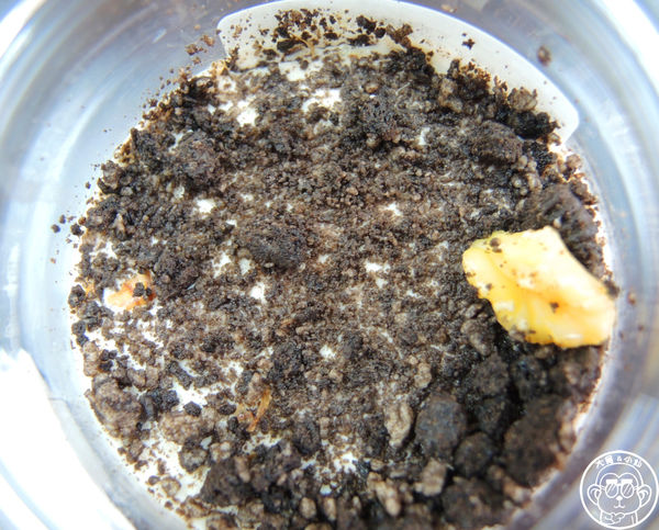 爆料奶酪工作坊：呷飽祙【新北三重･爆料奶酪 奶酪販賣機】投幣甜點風潮吹到三重啦