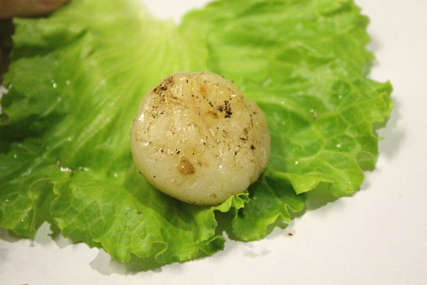 生食等級干貝-台中燒烤吃到飽推薦