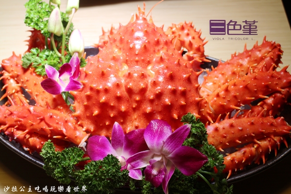 三色堇精緻火鍋：民生社區火鍋『三色堇精緻火鍋』涮涮鍋/近介壽國中