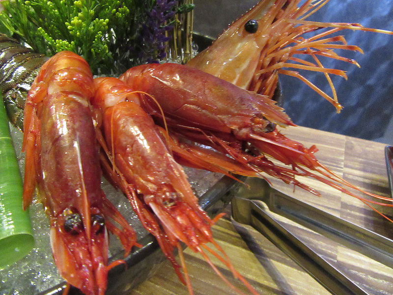 20161118_新莊婧Shabu (65)