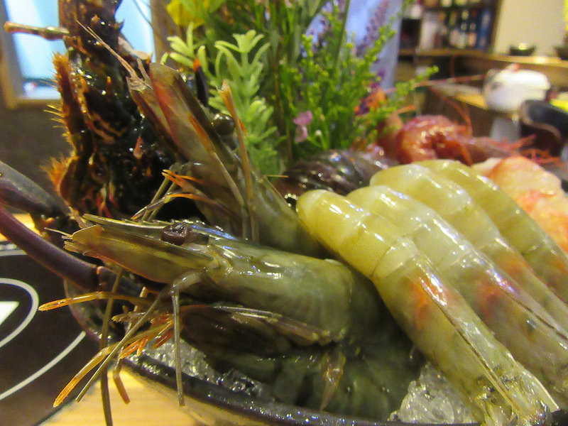 20161118_新莊婧Shabu (68)