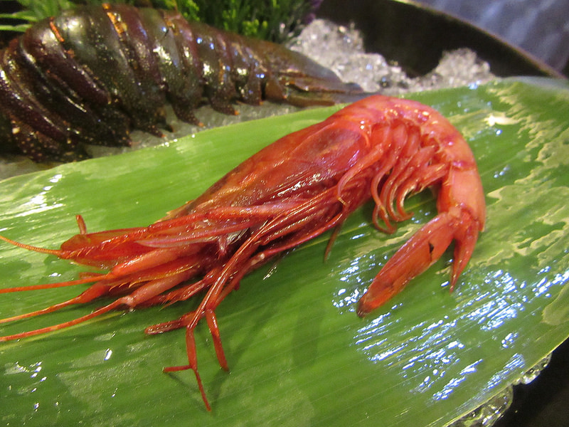 20161118_新莊婧Shabu (139)