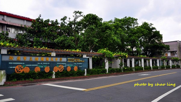 柑園國中-2.JPG - 2016夏之豔陽(花季篇)