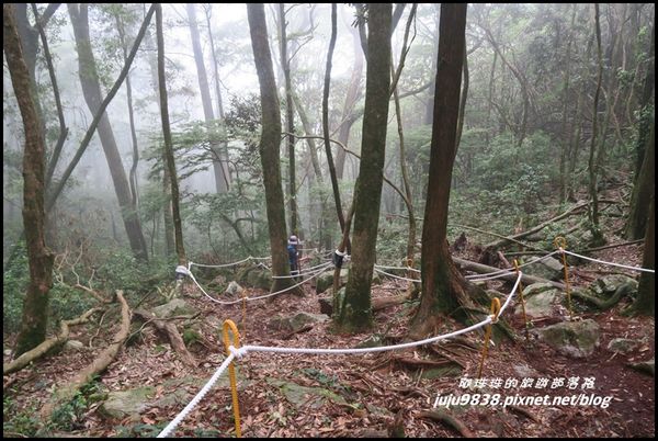 鳶嘴稍來步道65.JPG