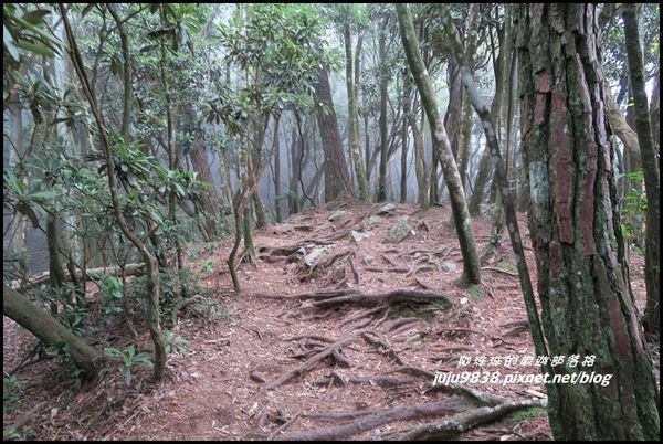 鳶嘴稍來步道21.JPG