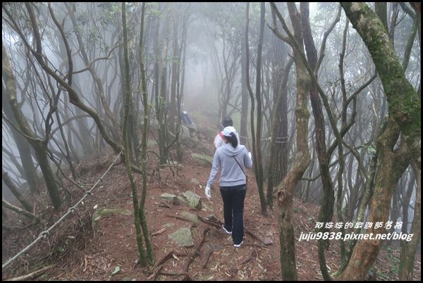 鳶嘴稍來步道33.JPG
