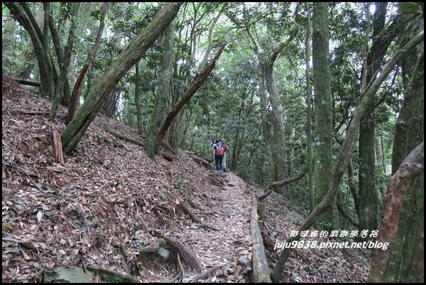 鳶嘴稍來步道18.JPG