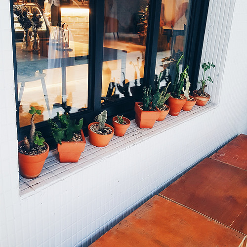 2016-08-22 06.10.04 1