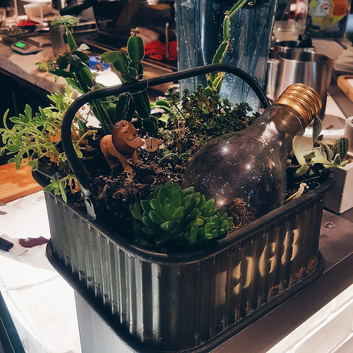 2016-08-22 06.10.02 1