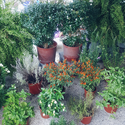 2016-10-03 03.13.46 1