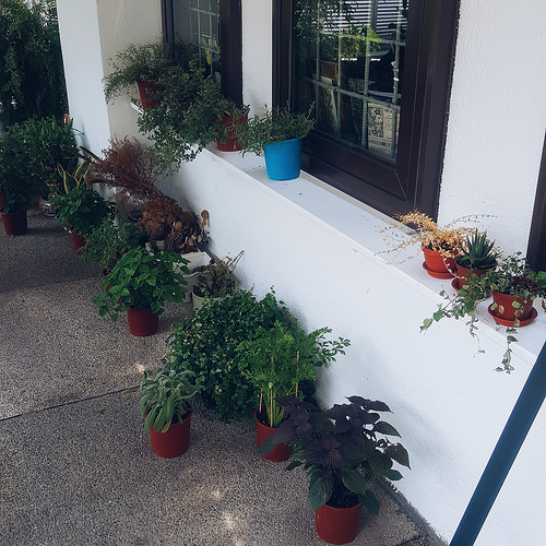 2016-10-03 03.14.04 1