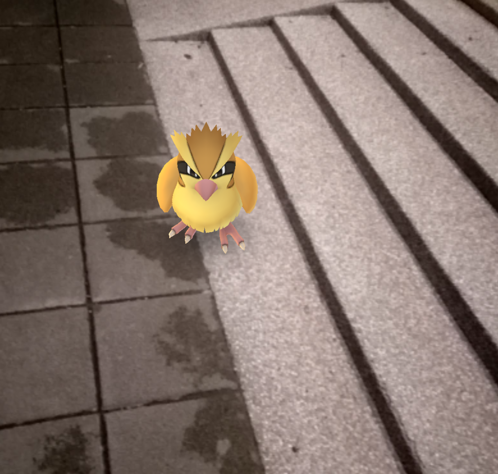 IMG_2016-08-17-21034103